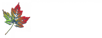 ISME 16